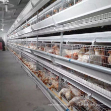 Système automatisé de cage de poulet haute densité en gros